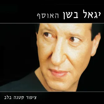 ציפור קטנה בלב - האוסף by Yigal Bashan