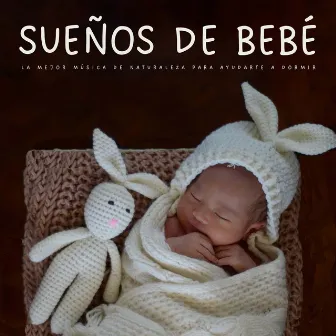 Sueños De Bebé: La Mejor Música De Naturaleza Para Ayudarte A Dormir by Puro Sueño Del Bebé