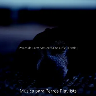 Perros de Entrenamiento Con Clase (Fondo) by Música para Perros Playlists