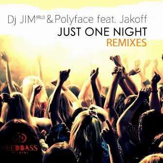 Just One Night (Remixes) by DJ Jim (RU)