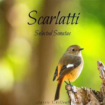 Scarlatti: Selected Sonatas by Sound Cube