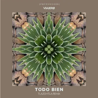 Todo Bien by Viajerø