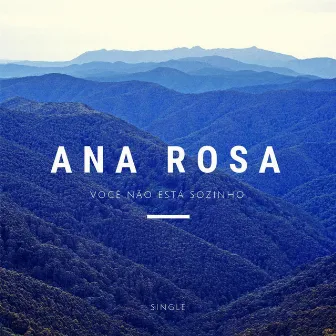 Você Não Está Sozinho by Ana Rosa