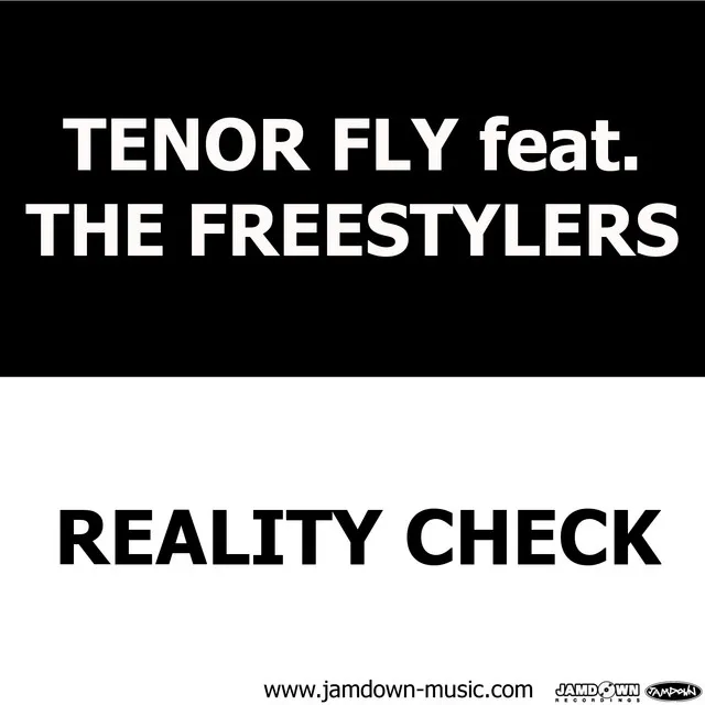 Reality Check (Fireworkz Mix)