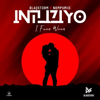 Intliziyo(I Funa Wena) by BlaqStorm