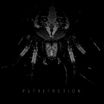 Putrefaction by NvrsEastel