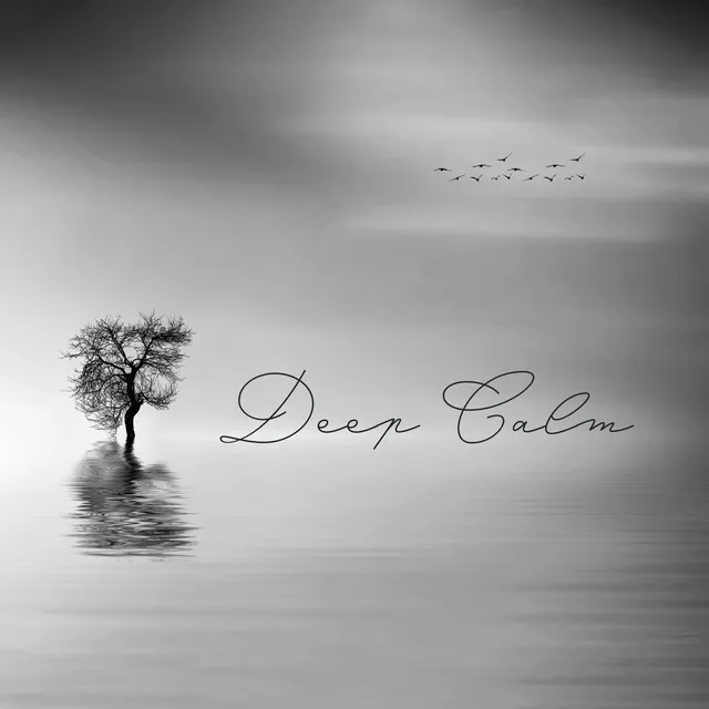 Deep Calm: Good Night Piano Music Session