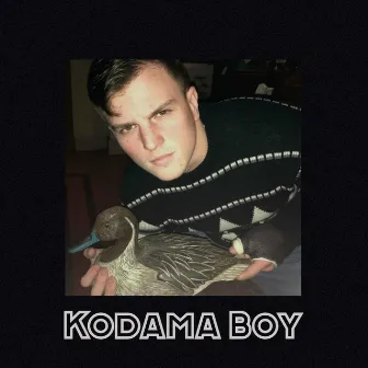 I Don't Like Me by Kodama Boy