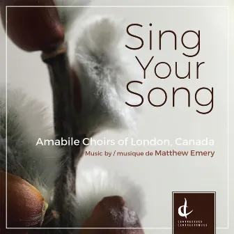 Sing Your Song by Matthew Emery