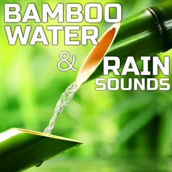 Bamboo Water & Rain Sounds by NatGeo Soundscapes