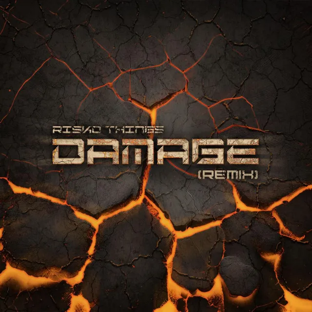 DAMAGE (Remix)