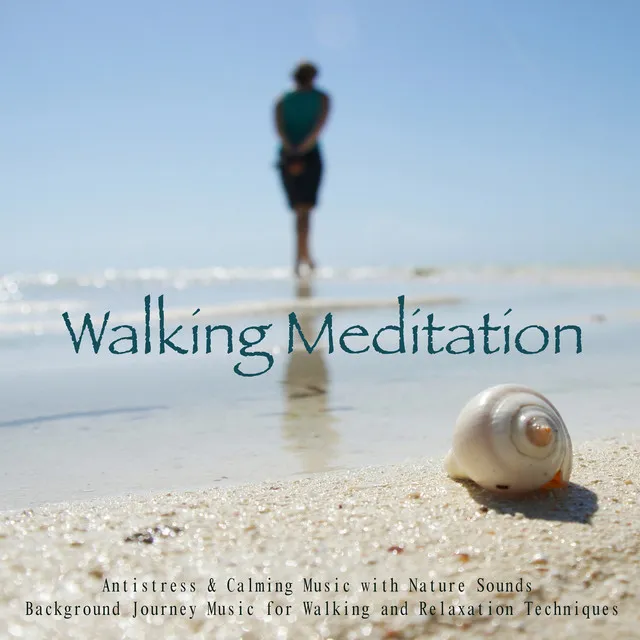 Walking Meditation Music Expert