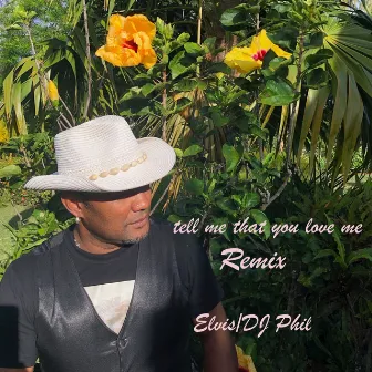 Tell Me That You Love Me (Remix) by DJ Phil