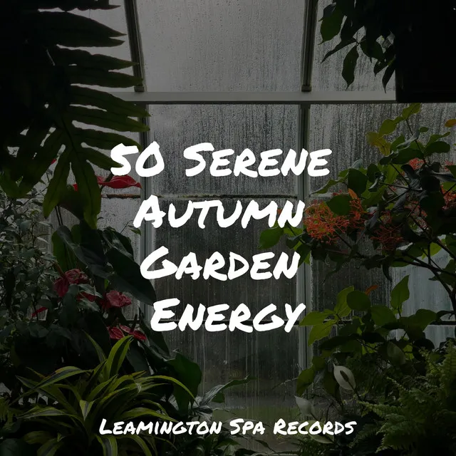 50 Serene Autumn Garden Energy