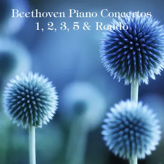 Beethoven: Piano Concertos Nos. 1, 2, 3, 5 & Rondo, WoO 6 by Piero Gamba