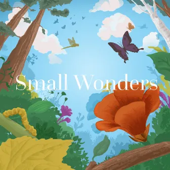 Small Wonders by Jonathan Pilcher