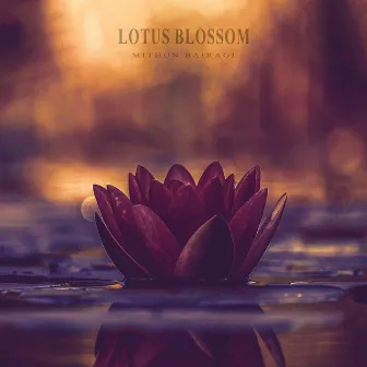 Lotus Blossom by Mithun Bairagi