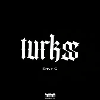 Turkss by Unknown Artist