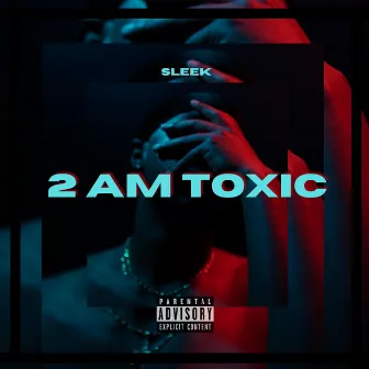 2 AM TOXIC by Sleek