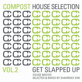 Compost House Selection Vol. 2 - Get Slapped Up - House Moods by Shahrokh Dini