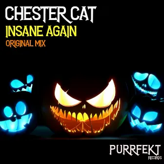 Insane Again by Chester Cat