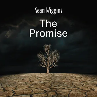 The Promise by Sean Wiggins