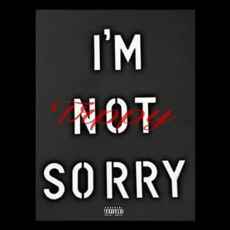 I'm Not Sorry by Trppy