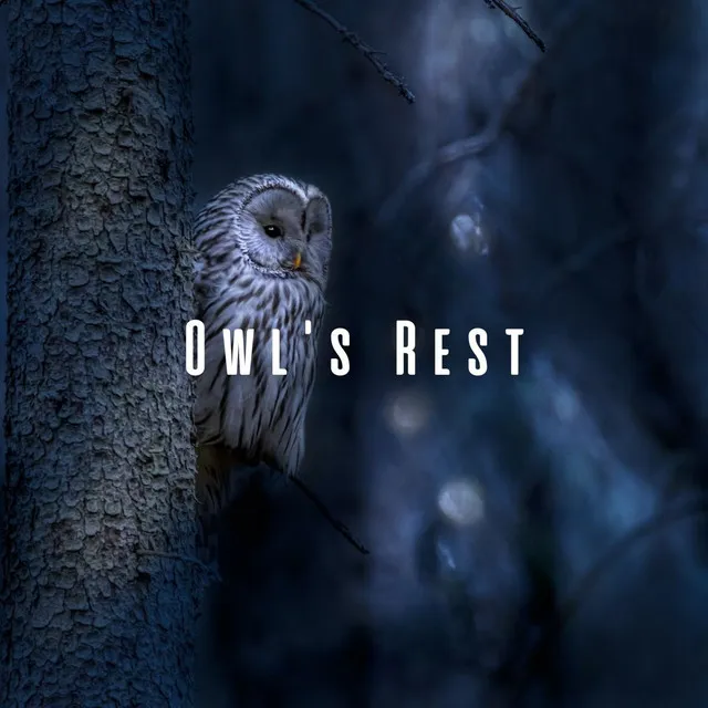 Owl's Rest: Nighttime Harmonies for Peaceful Sleep