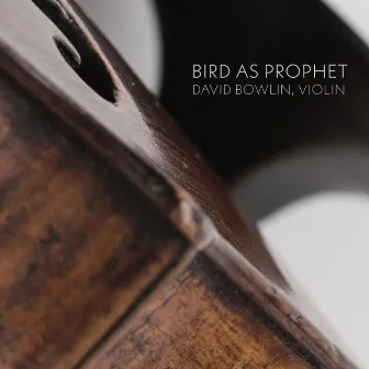 Bird as Prophet by David Bowlin