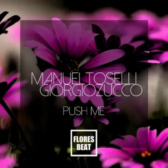 Push Me - Single by Manuel Toselli