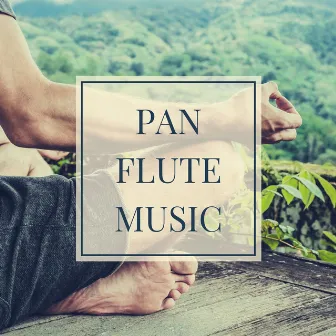 Pan Flute Music: Relaxing Peruvian Flute music for Sleep and Meditation by Unknown Artist