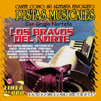 Pistas Musicales Con Grupo Norteño los Bravos del Norte by m.m.p