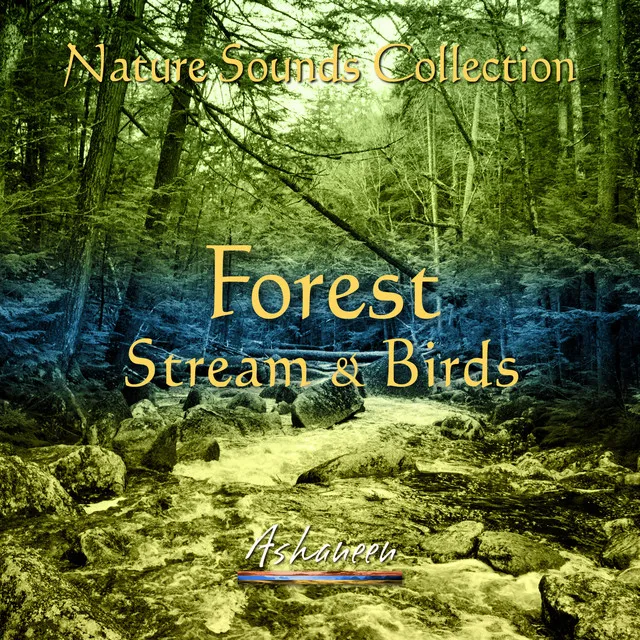 Nature Sounds Collection: Forest Stream & Birds