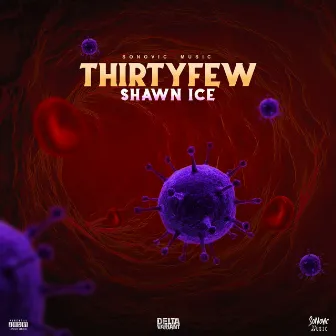 Thirtyfew by Shawn Ice