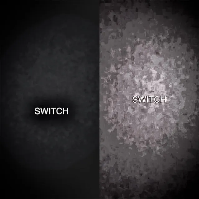 Switch