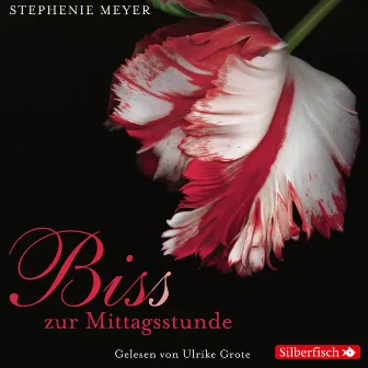 Bella und Edward 2: Biss zur Mittagsstunde by Ulrike Grote