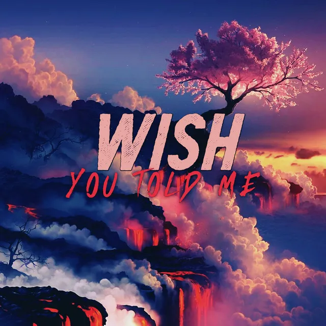 Wish You Told Me