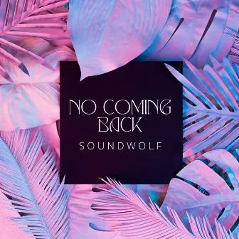 No Coming Back by SoundWolf