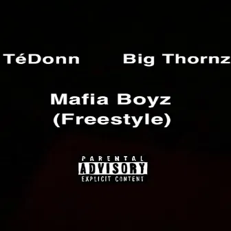 Mafia Boyz (Freestyle) by Unknown Artist