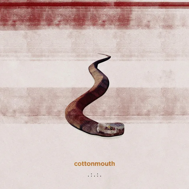 cottonmouth