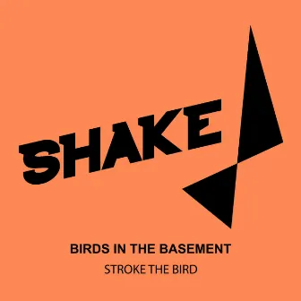 Stroke The Bird by Birds in the Basement