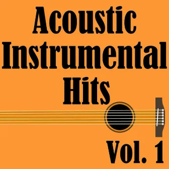 Acoustic Instrumental Hits, Vol. 1 by Wildlife