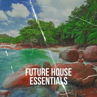 Future House Essentials by BASSTION