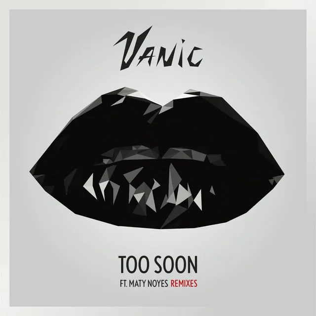 Too Soon (feat. Maty Noyes) - Snareskin Remix