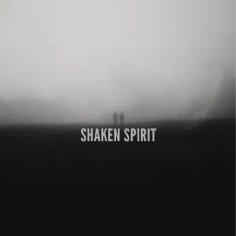 Shaken Spirit by Unknown Artist