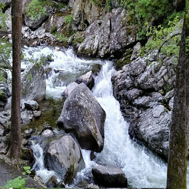 A Gurgling River Torrent Babbling and Frothing