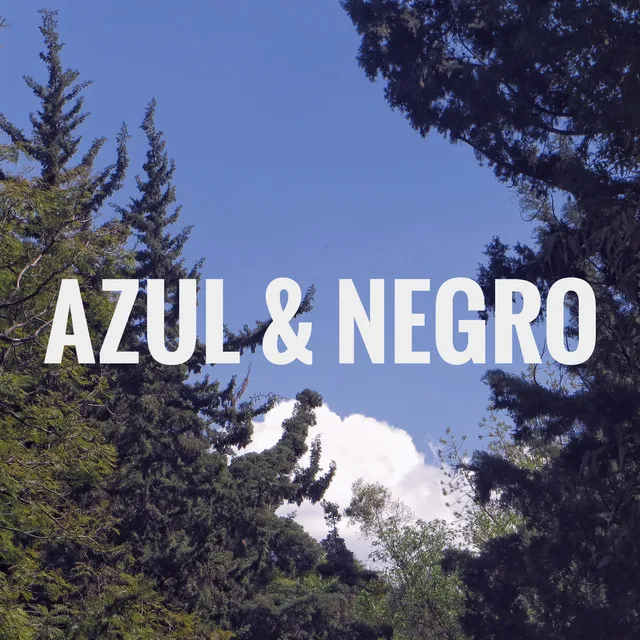 Azul & Negro