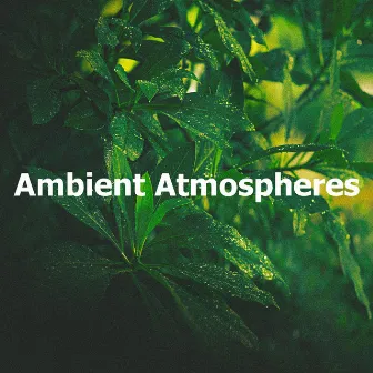 Ambient Atmospheres by Forest Wind Sounds