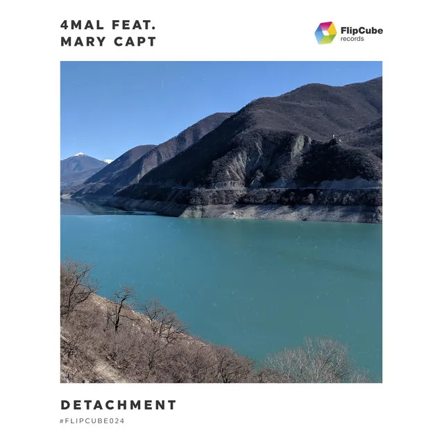 Detachment - Dub