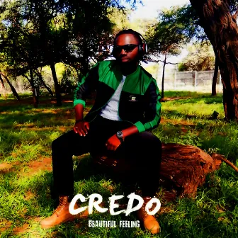 Beautiful Feeling by Credo